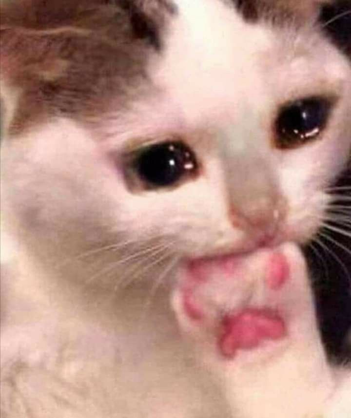 L'équipe Laurence Kuzord